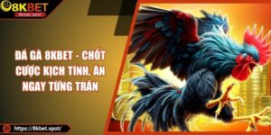 Đá Gà 8KBET - Chốt Cược Kịch Tính, Ăn Ngay Từng Trận