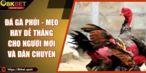 Đá Gà Phủi - Mẹo Hay Dễ Thắng Cho Người Mới Và Dân Chuyên