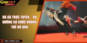 Đá Gà Trực Tuyến – Xu Hướng Cá Cược Không Thể Bỏ Qua