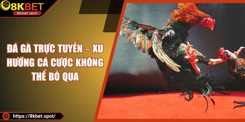 Đá Gà Trực Tuyến – Xu Hướng Cá Cược Không Thể Bỏ Qua
