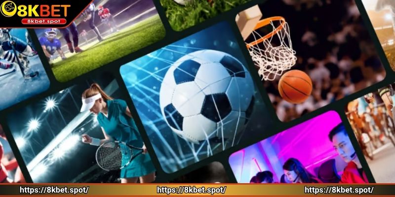 Đối tác cung cấp game thể thao 8KBET chuyên nghiệp