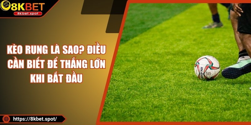 Kèo Rung Là Sao? Điều Cần Biết Để Thắng Lớn Khi Bắt Đầu